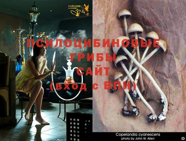 прущая мука Козельск