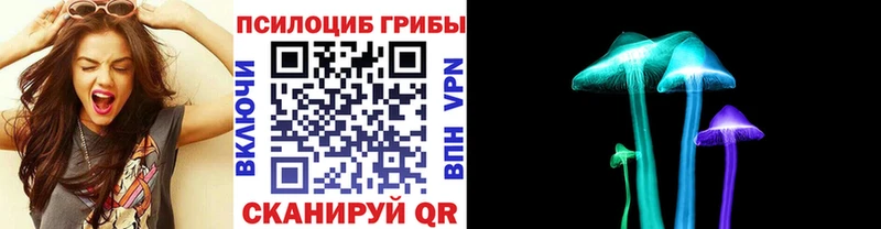 Псилоцибиновые грибы Psilocybe  Купить  Приморско-Ахтарск 